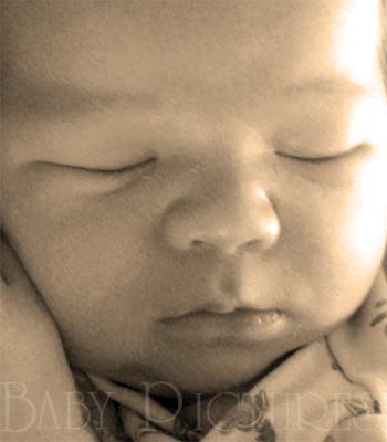 Baby Pictures After Ultrasound Picture