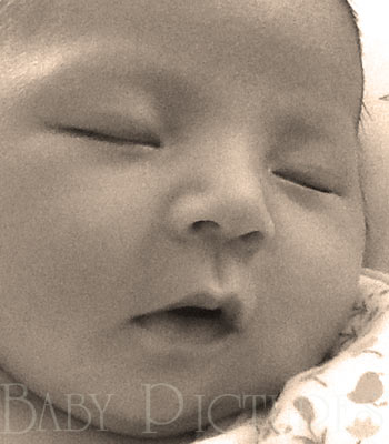 Baby Pictures After Ultrasound Picture