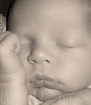 Baby Pictures After Ultrasound Picture